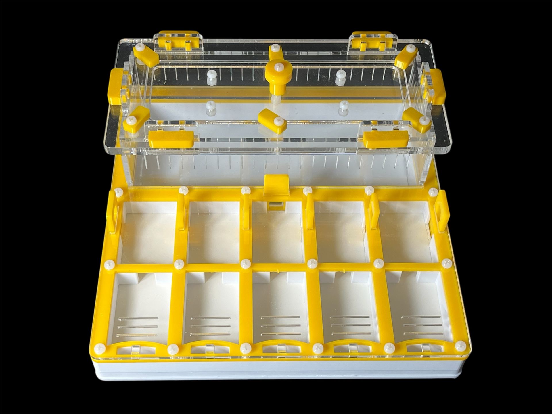 Муравьиная ферма с гипсом для Camponotus. 5 секций, двойная крышка, безопасные материалы