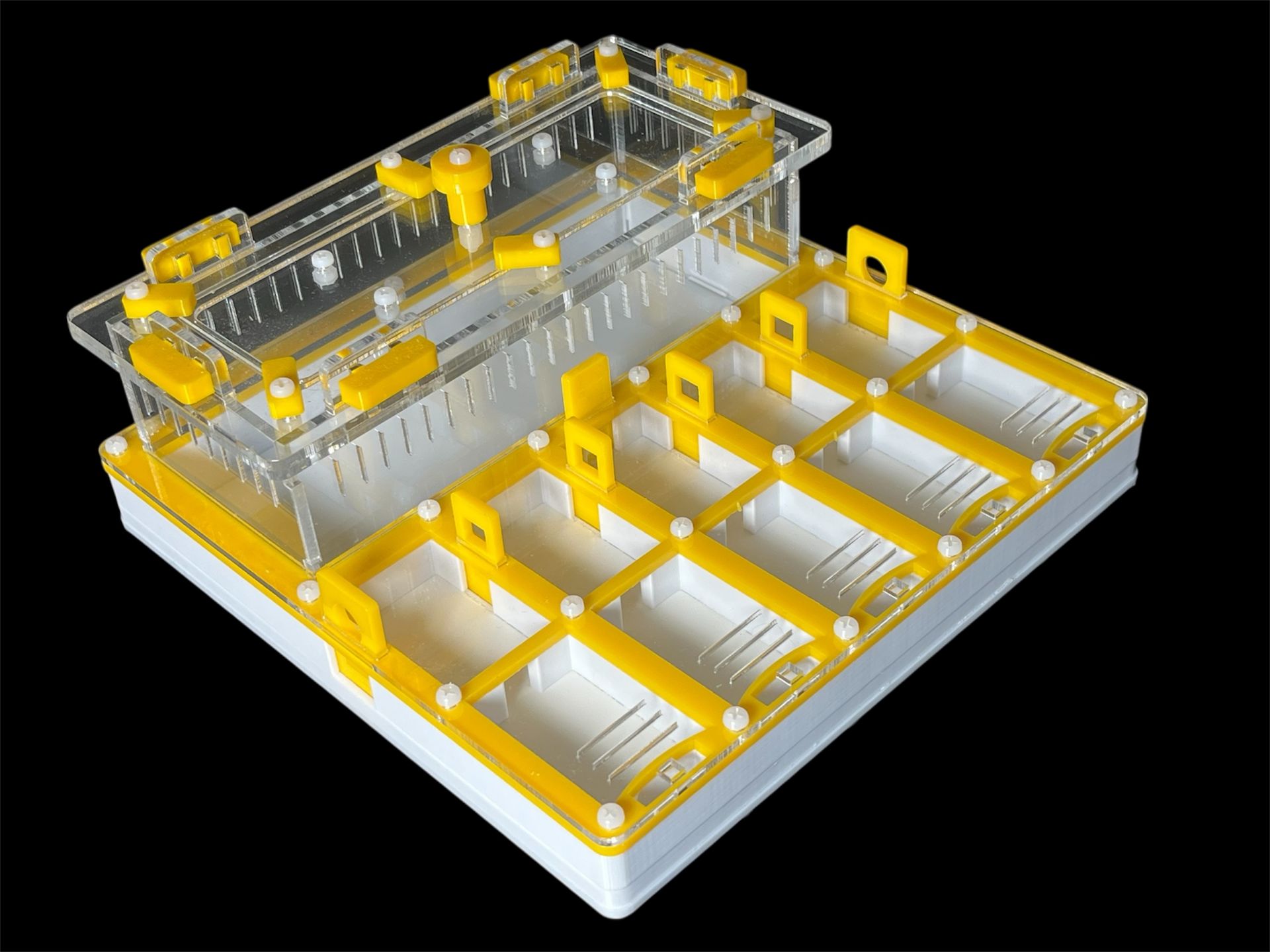 Муравьиная ферма с гипсом для Camponotus. 5 секций, двойная крышка, безопасные материалы