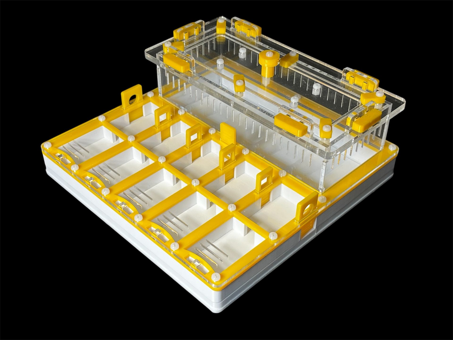 Муравьиная ферма с гипсом для Camponotus. 5 секций, двойная крышка, безопасные материалы