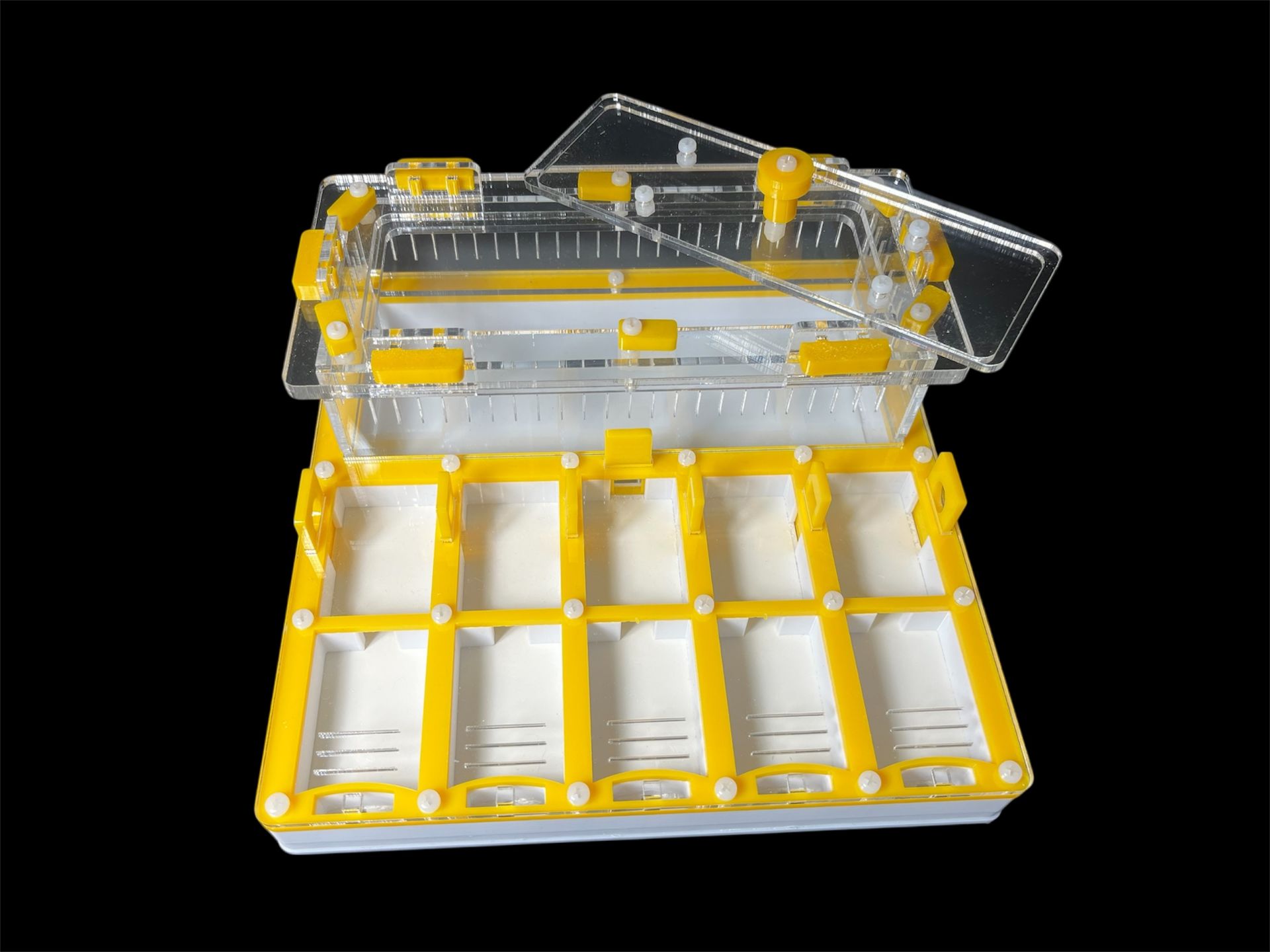 Муравьиная ферма с гипсом для Camponotus. 5 секций, двойная крышка, безопасные материалы