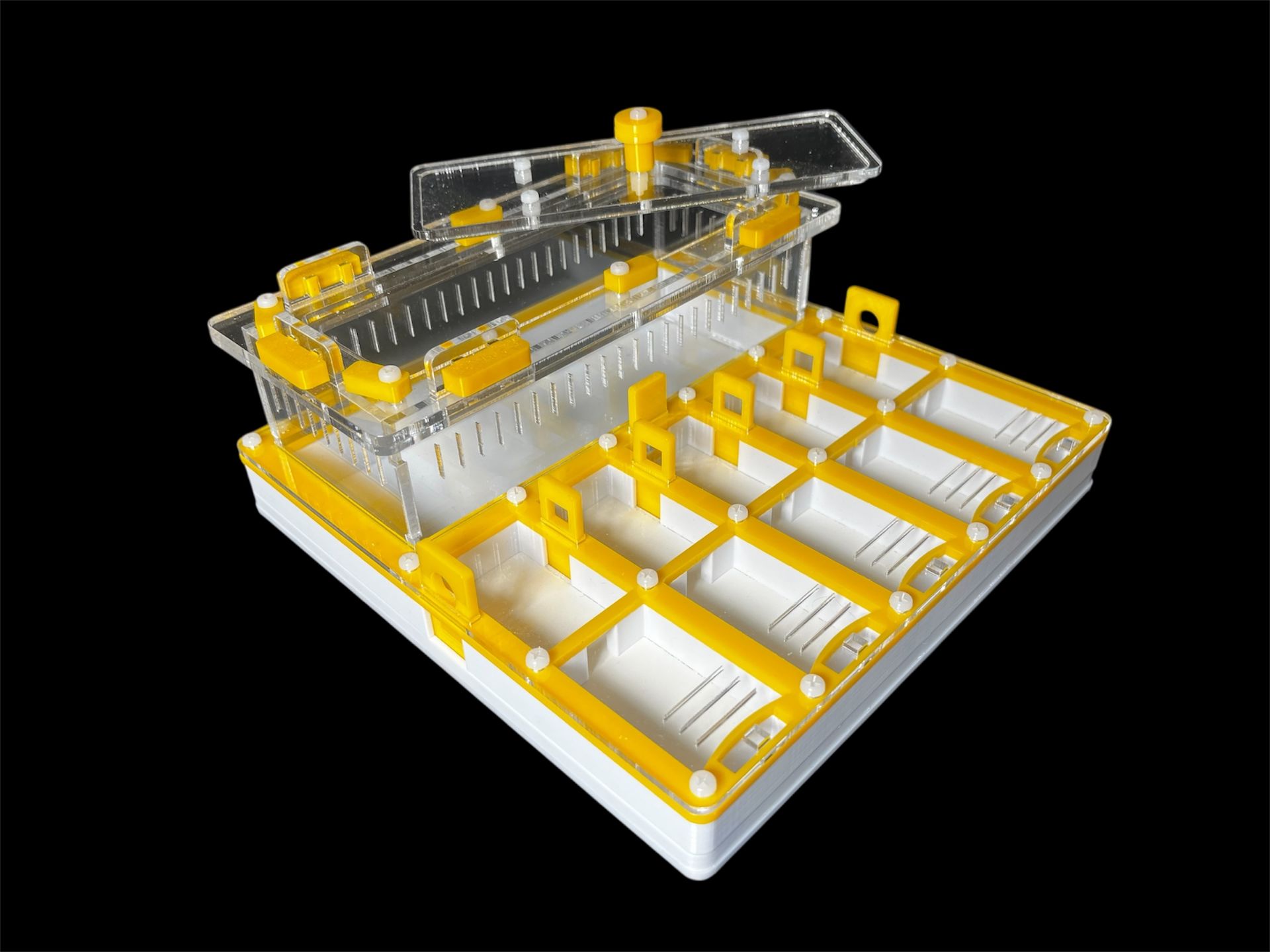 Муравьиная ферма с гипсом для Camponotus. 5 секций, двойная крышка, безопасные материалы