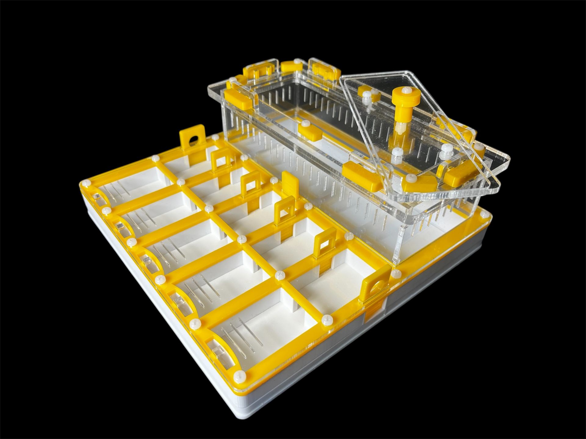 Муравьиная ферма с гипсом для Camponotus. 5 секций, двойная крышка, безопасные материалы