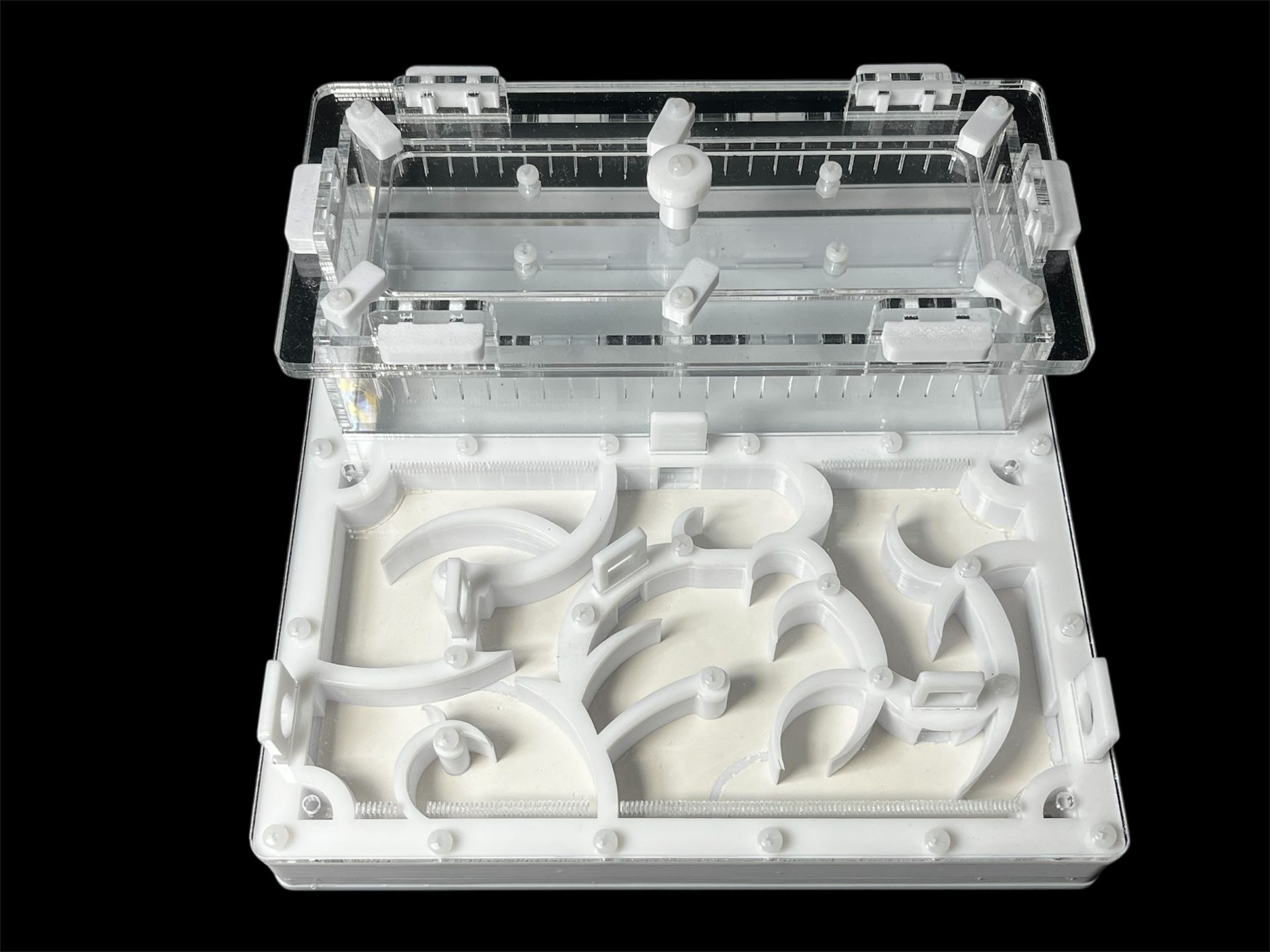 Белая муравьиная ферма 200х200мм: полный гипс, 4 зоны увлажнения. Для Pheidole и Camponotus