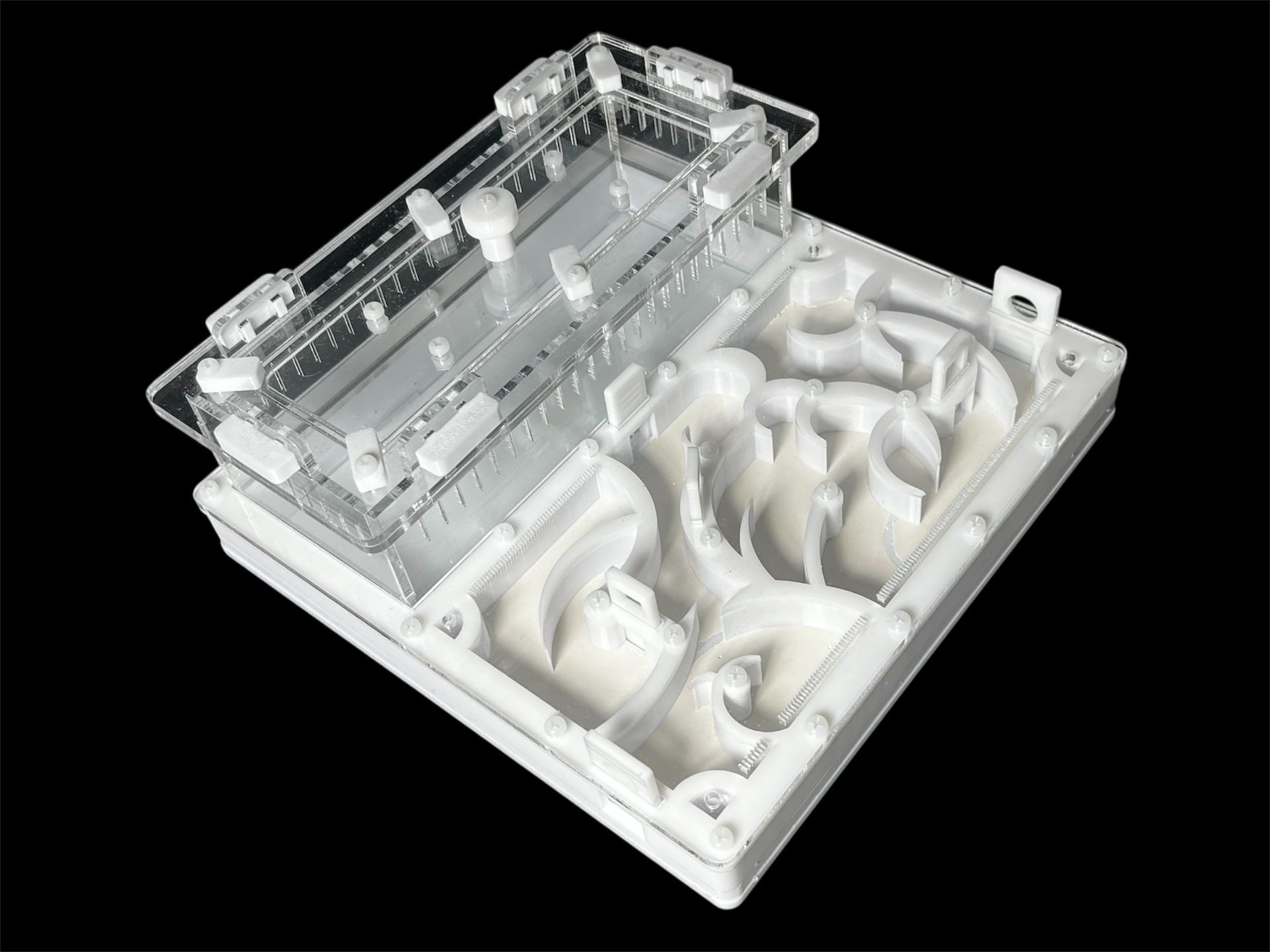 Белая муравьиная ферма 200х200мм: полный гипс, 4 зоны увлажнения. Для Pheidole и Camponotus