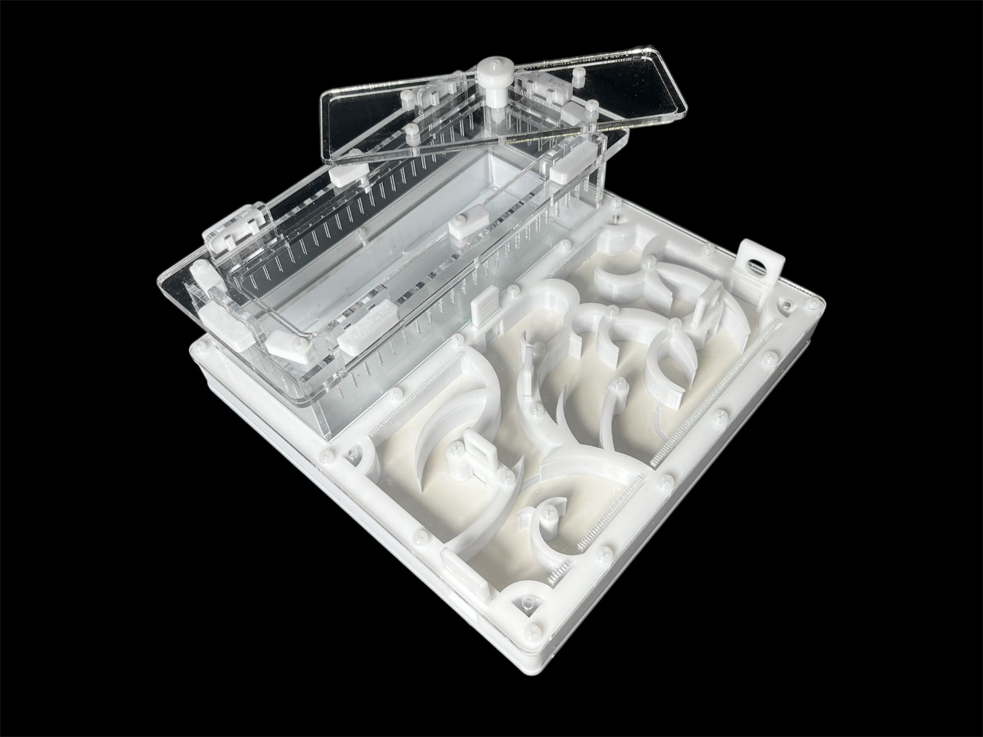 Белая муравьиная ферма 200х200мм: полный гипс, 4 зоны увлажнения. Для Pheidole и Camponotus