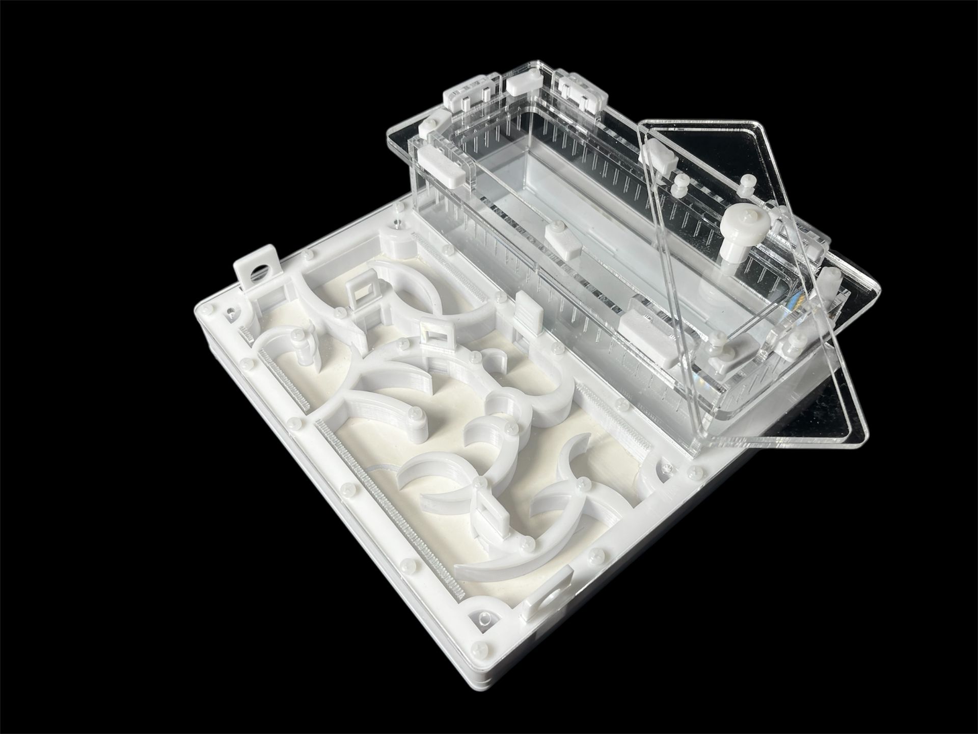 Белая муравьиная ферма 200х200мм: полный гипс, 4 зоны увлажнения. Для Pheidole и Camponotus