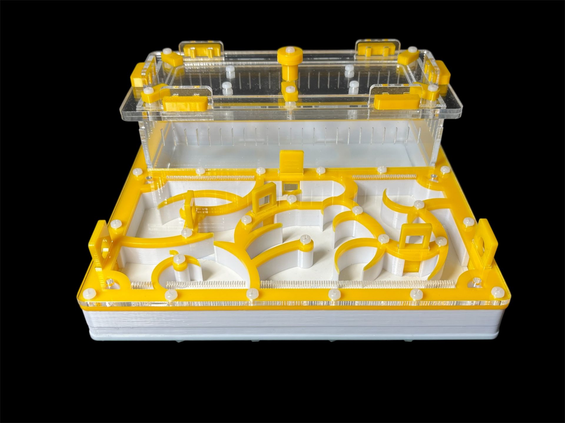 Купить желтый формикарий с гипсом 200х200мм: 4 зоны увлажнения, высота над гипсом 15мм для Pheidole