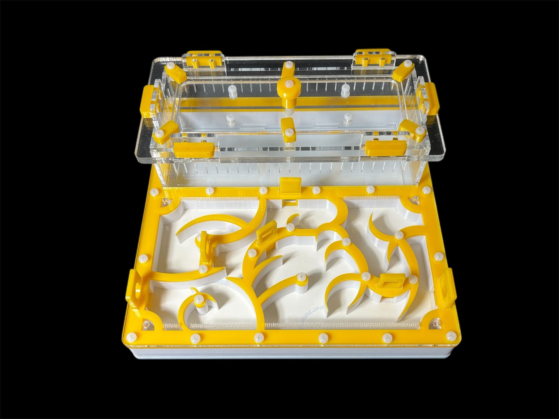 Купить желтый формикарий с гипсом 200х200мм: 4 зоны увлажнения, высота над гипсом 15мм для Pheidole