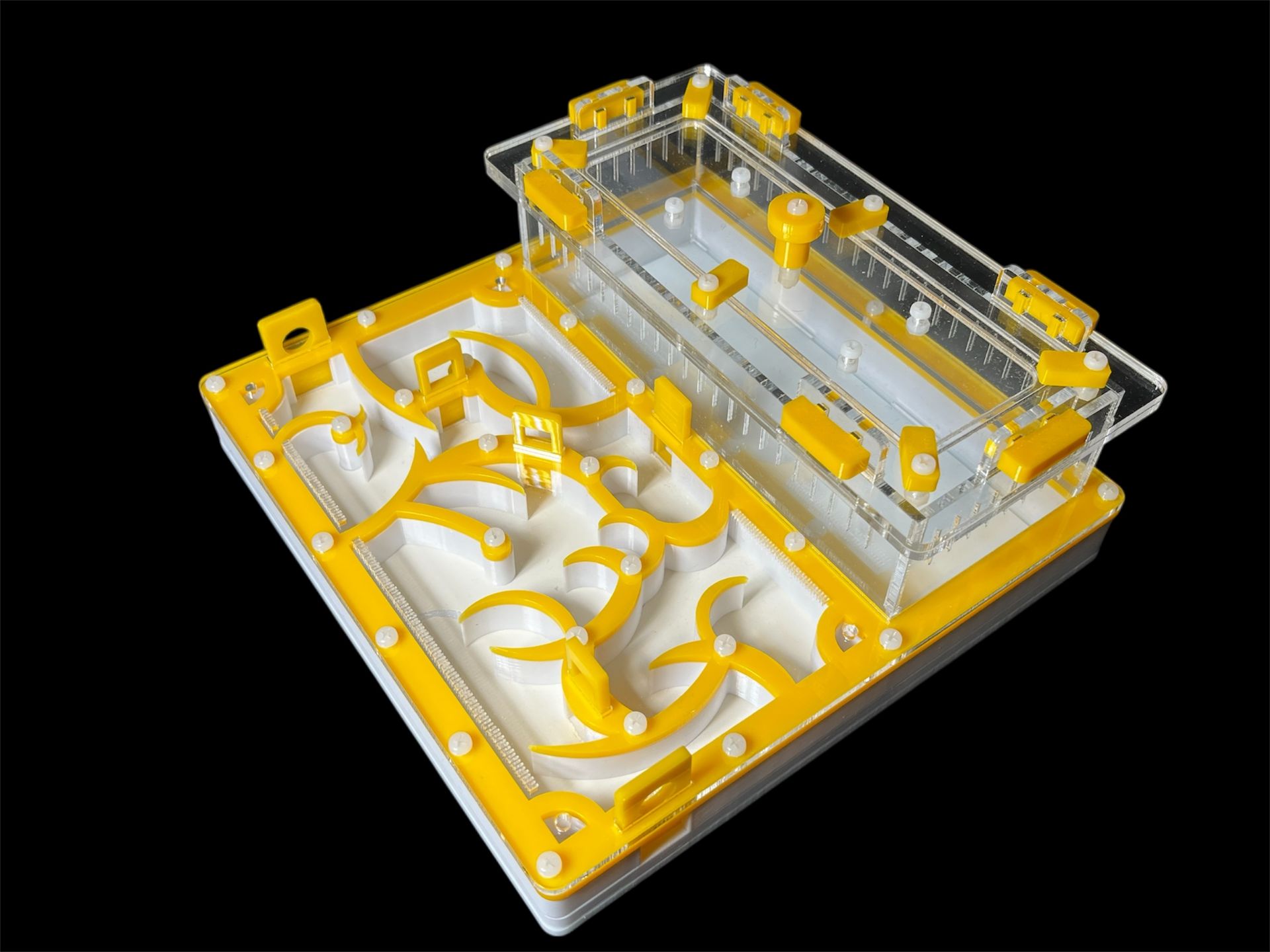 Купить желтый формикарий с гипсом 200х200мм: 4 зоны увлажнения, высота над гипсом 15мм для Pheidole