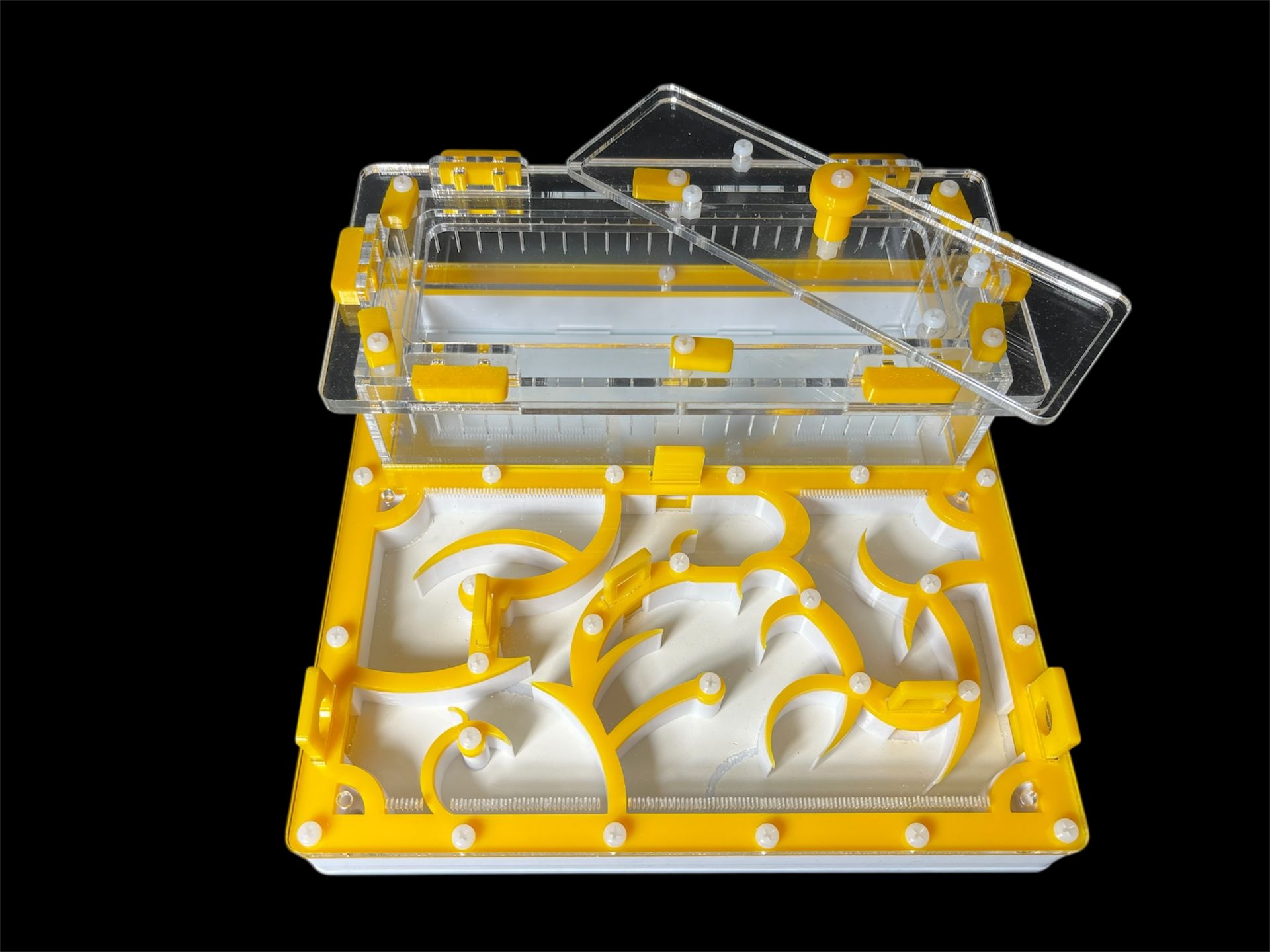 Купить желтый формикарий с гипсом 200х200мм: 4 зоны увлажнения, высота над гипсом 15мм для Pheidole