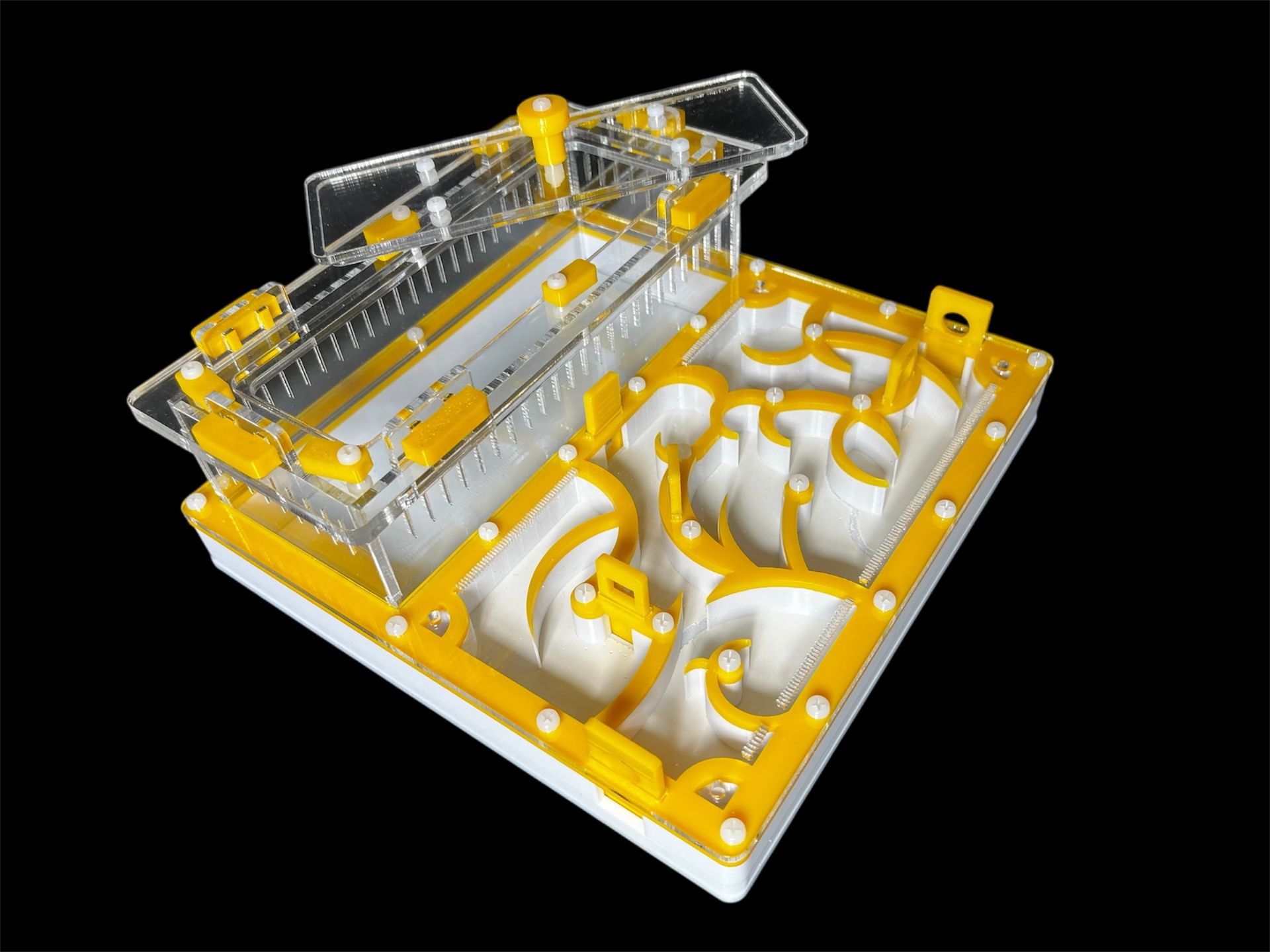 Купить желтый формикарий с гипсом 200х200мм: 4 зоны увлажнения, высота над гипсом 15мм для Pheidole