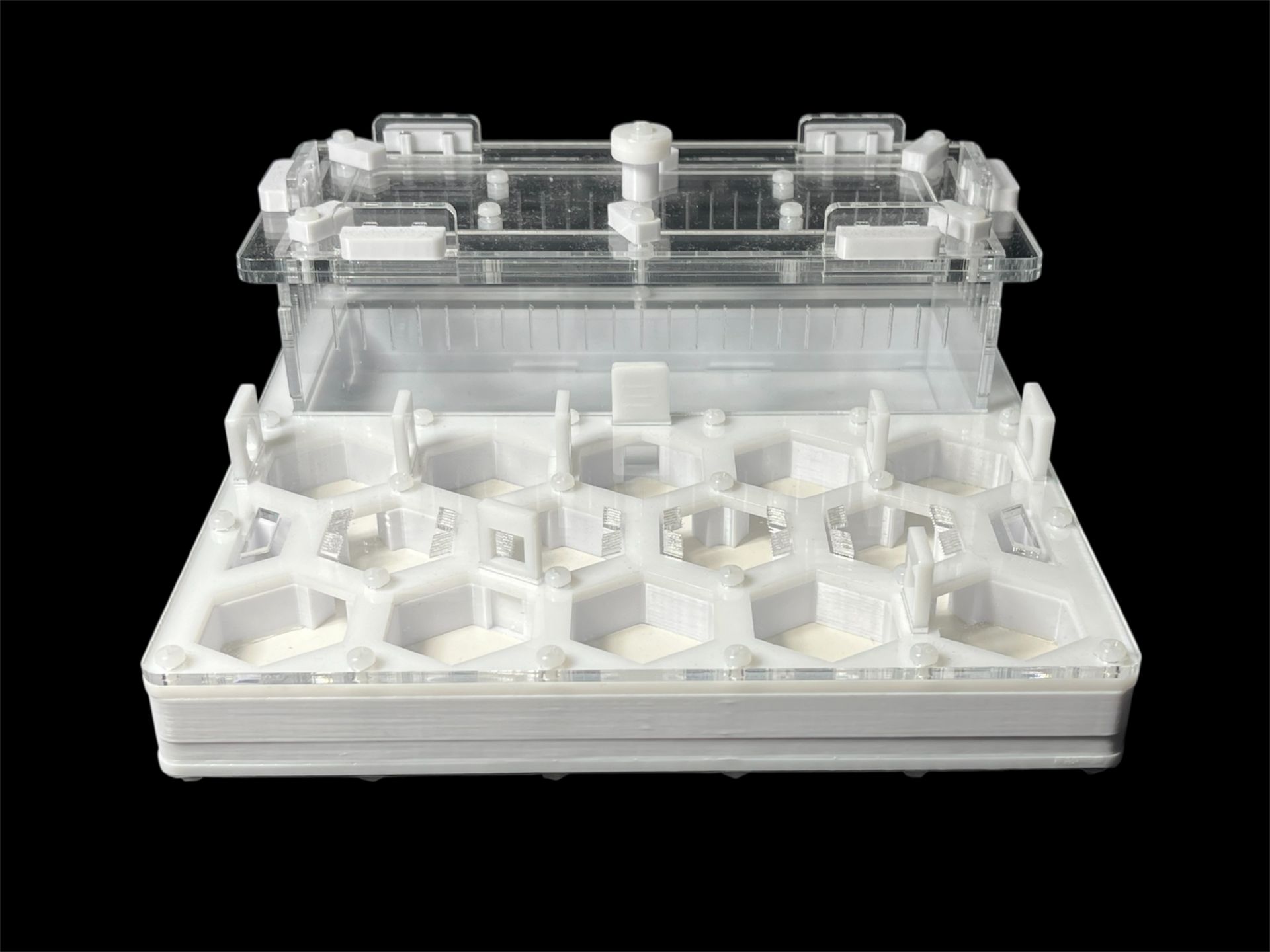 Профессиональный формикарий Соты 20х20см: гипс 6мм, высота 15мм, для влаголюбивых видов муравьев