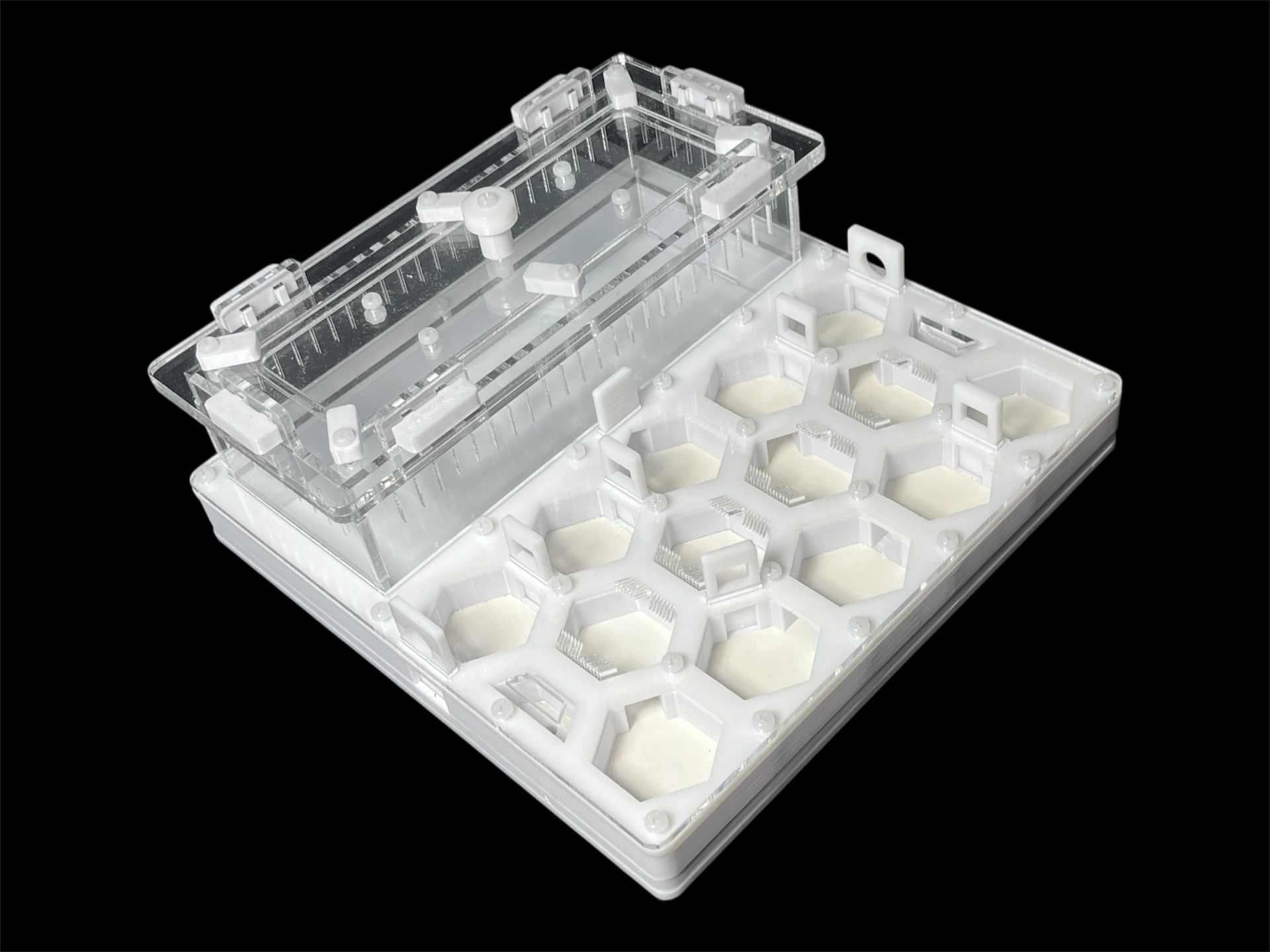 Профессиональный формикарий Соты 20х20см: гипс 6мм, высота 15мм, для влаголюбивых видов муравьев