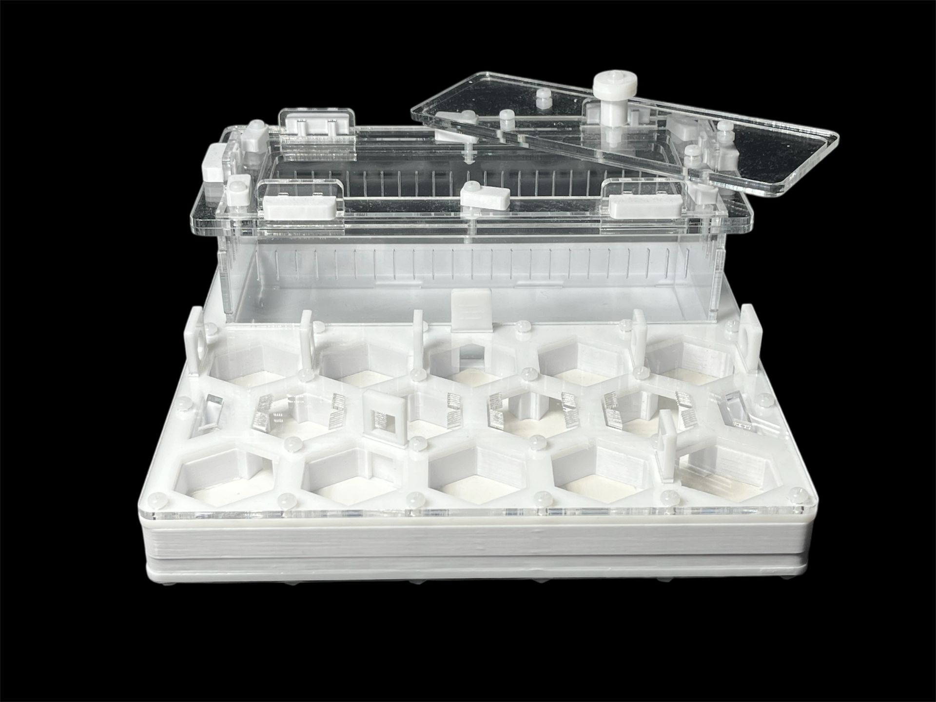 Профессиональный формикарий Соты 20х20см: гипс 6мм, высота 15мм, для влаголюбивых видов муравьев