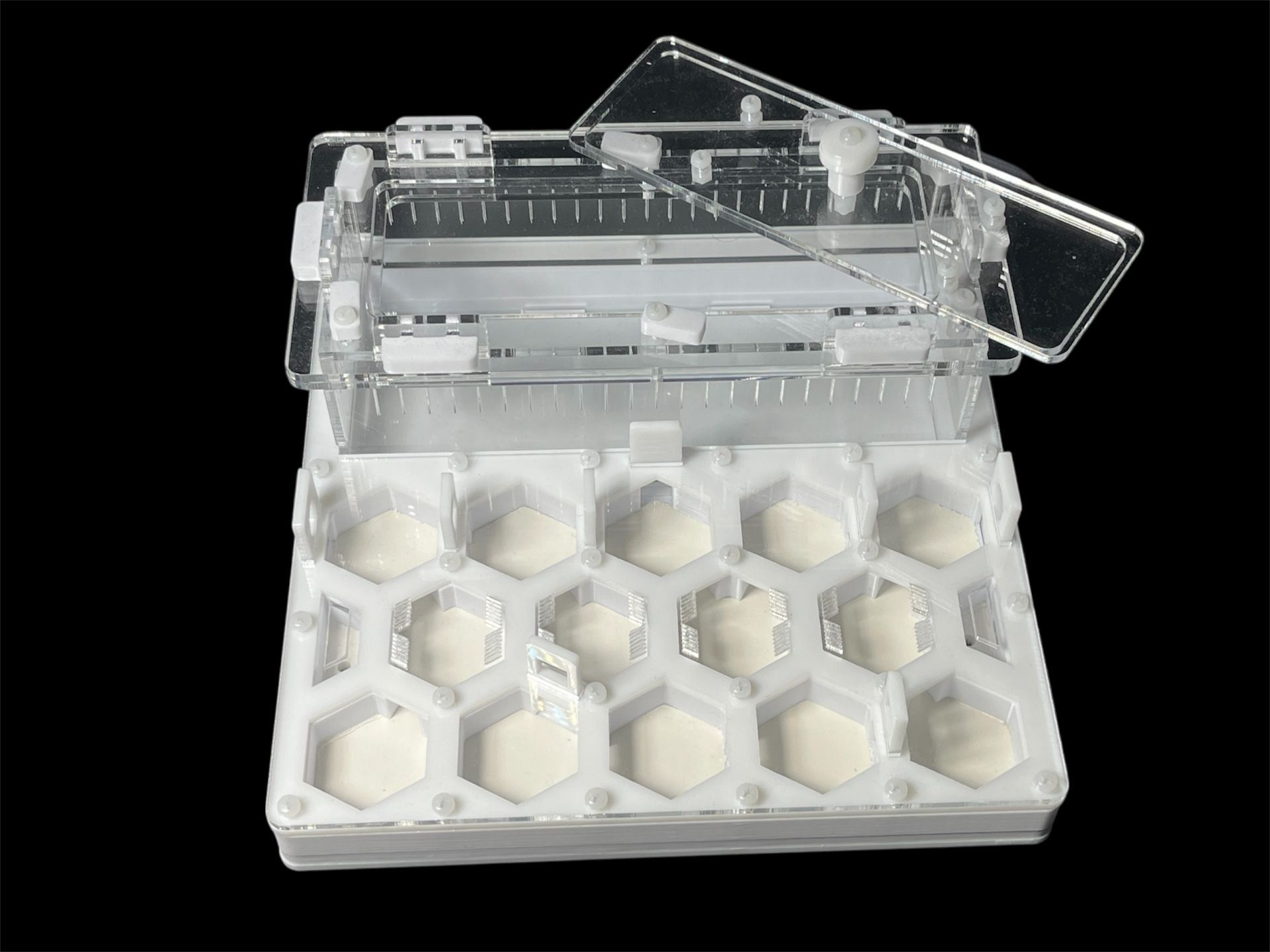 Профессиональный формикарий Соты 20х20см: гипс 6мм, высота 15мм, для влаголюбивых видов муравьев