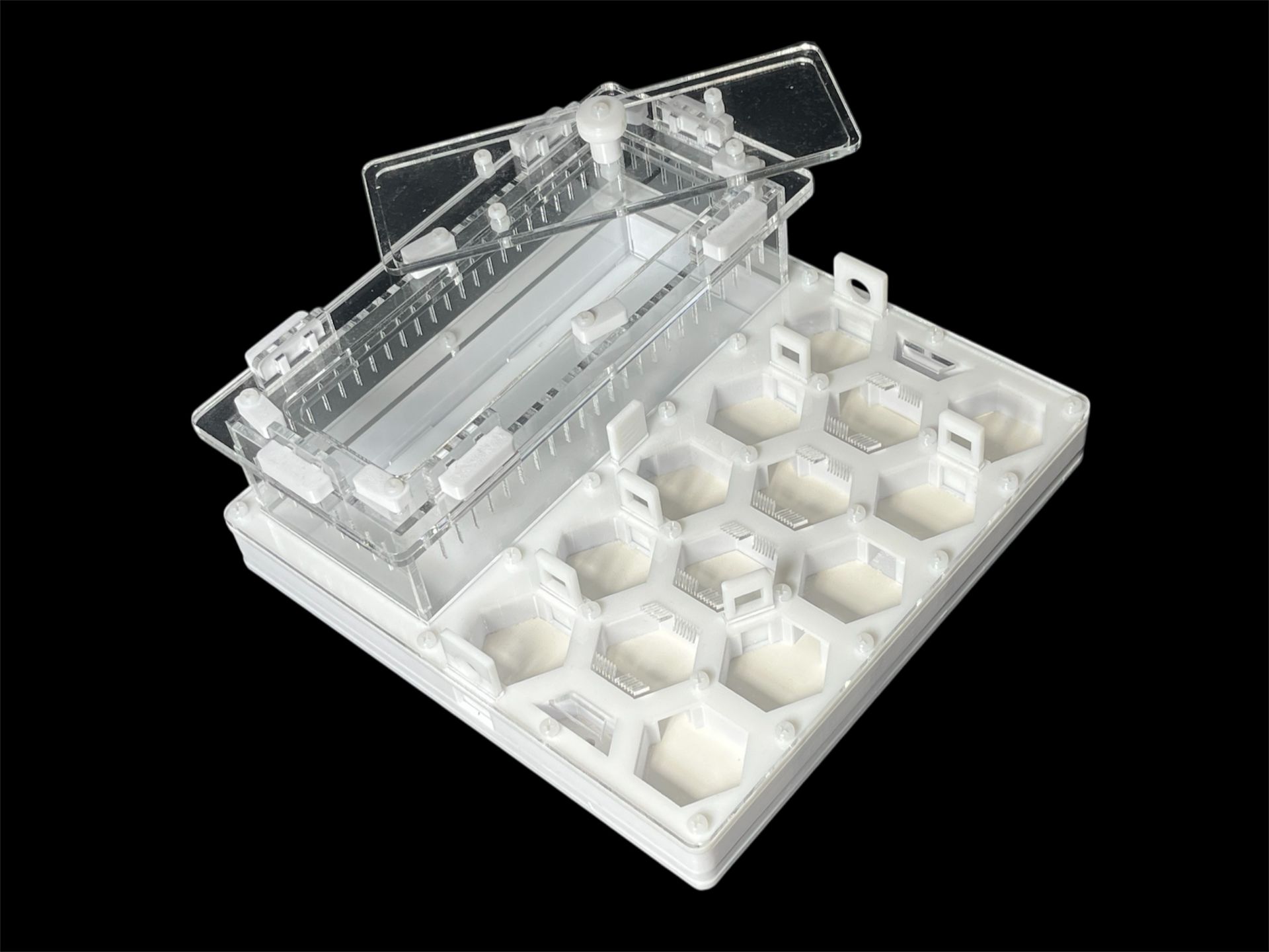 Профессиональный формикарий Соты 20х20см: гипс 6мм, высота 15мм, для влаголюбивых видов муравьев