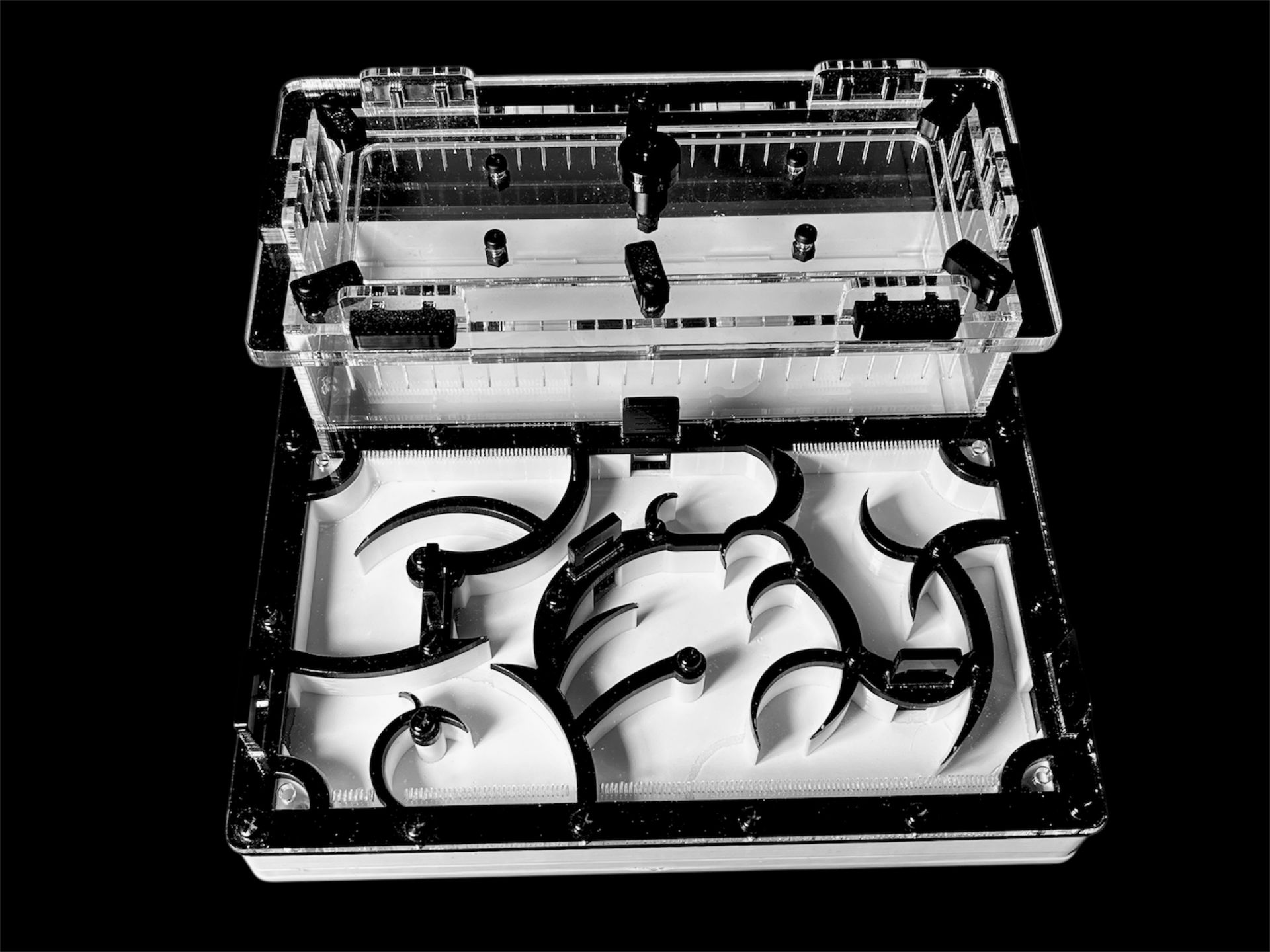 Муравьиная ферма черная с гипсом для Camponotus. Интеллектуальный дизайн, PETG и акрил