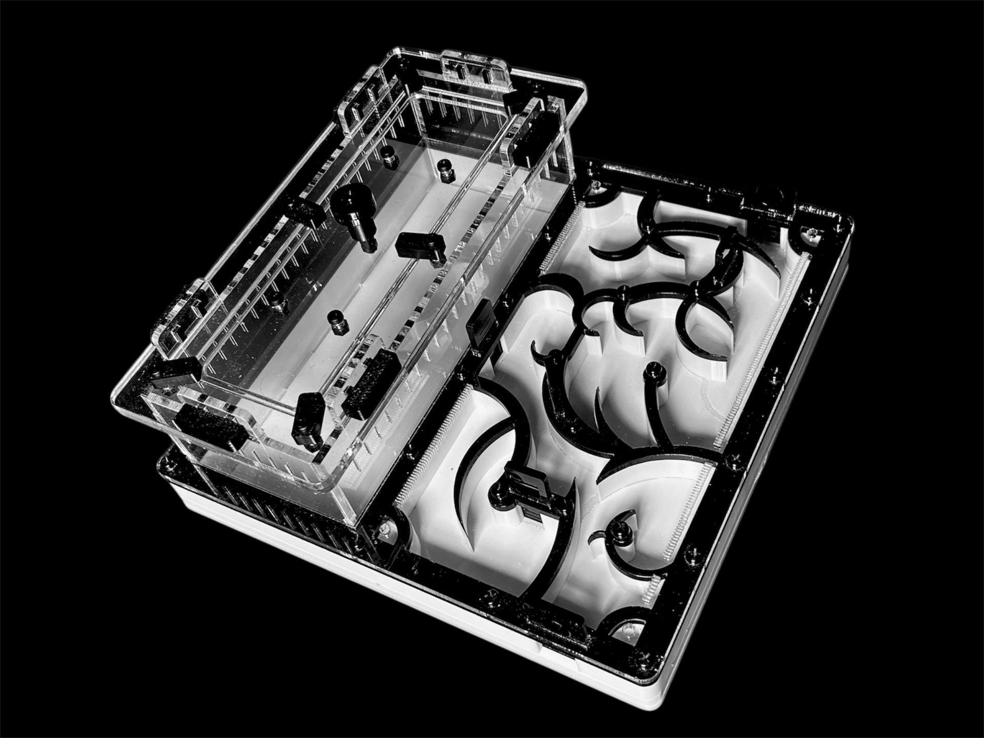 Муравьиная ферма черная с гипсом для Camponotus. Интеллектуальный дизайн, PETG и акрил