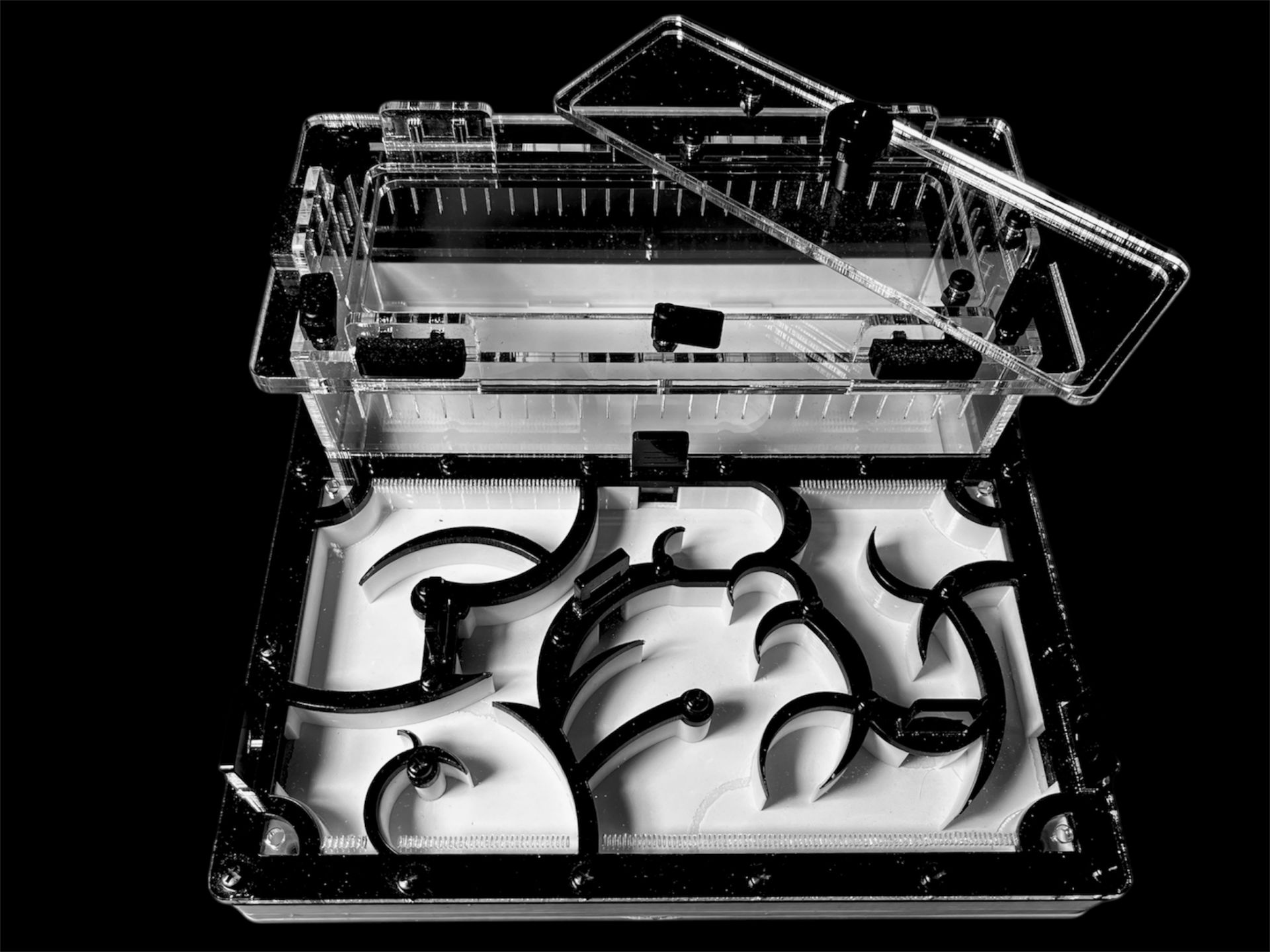 Муравьиная ферма черная с гипсом для Camponotus. Интеллектуальный дизайн, PETG и акрил