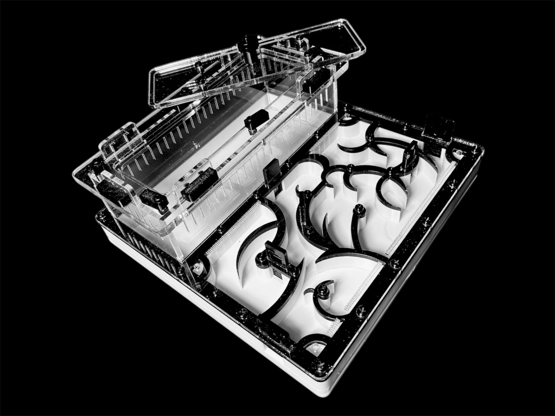 Муравьиная ферма черная с гипсом для Camponotus. Интеллектуальный дизайн, PETG и акрил