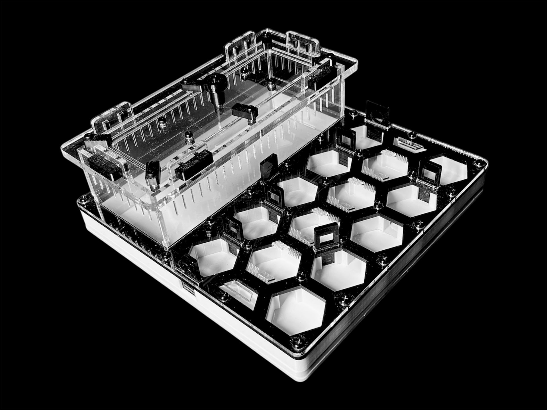 Формикарий «Соты» черный 200х200мм: 5 секций, 2 зоны увлажнения, гипс Г23 для Carebara