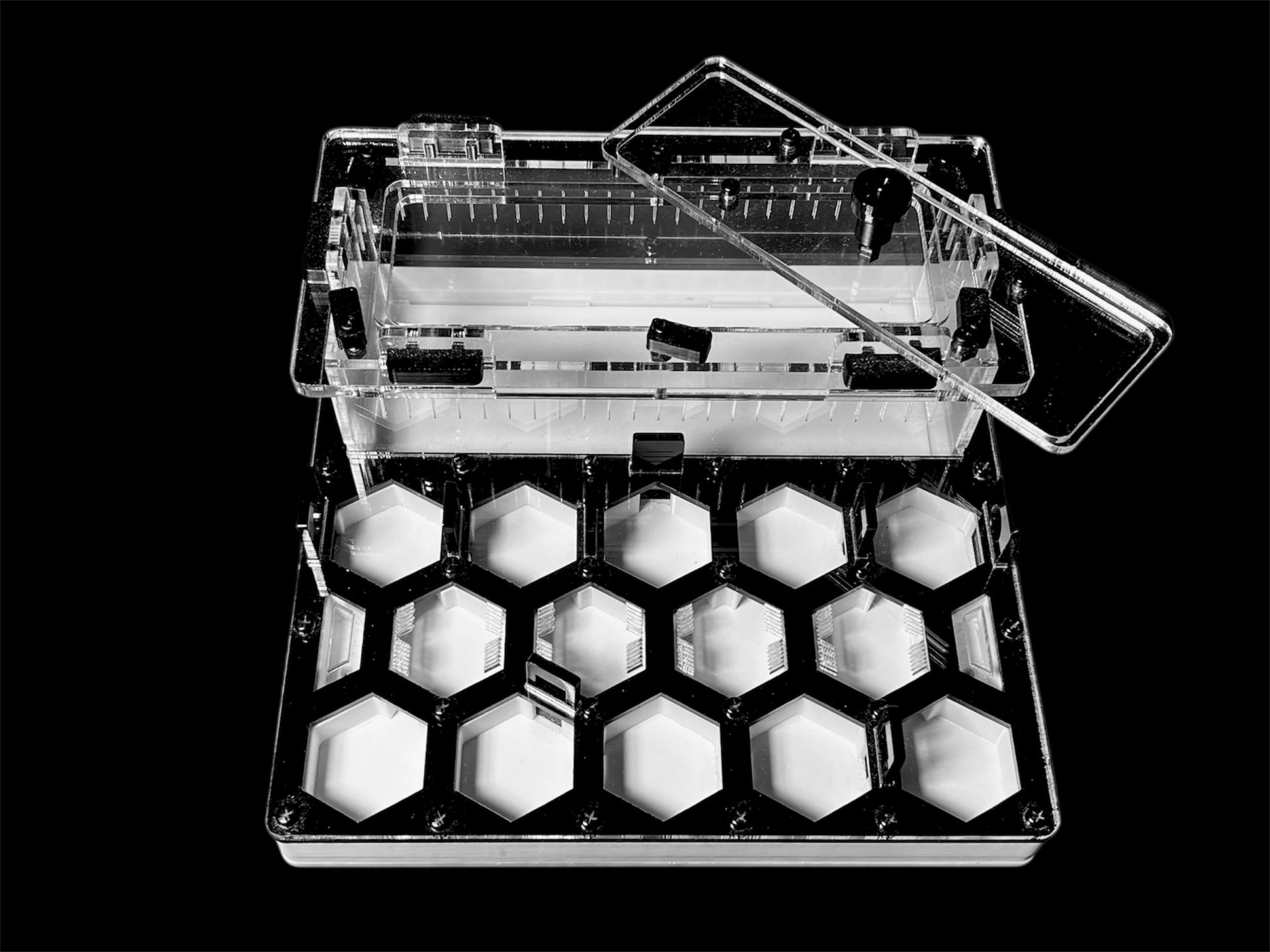 Формикарий «Соты» черный 200х200мм: 5 секций, 2 зоны увлажнения, гипс Г23 для Carebara