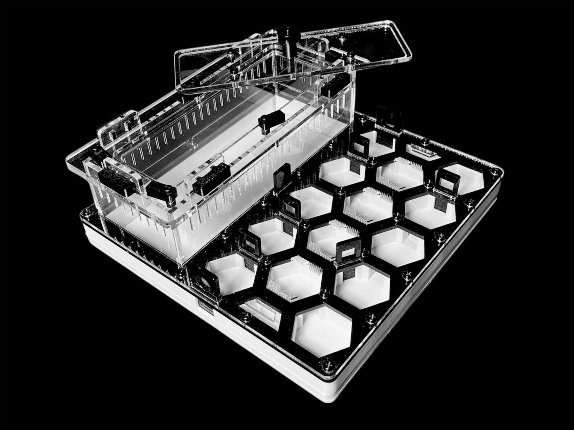 Формикарий «Соты» черный 200х200мм: 5 секций, 2 зоны увлажнения, гипс Г23 для Carebara