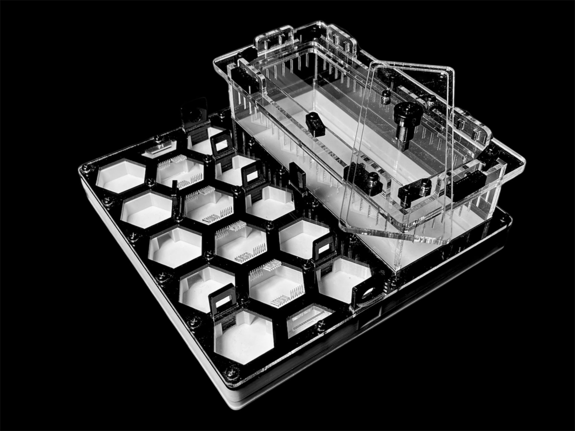 Формикарий «Соты» черный 200х200мм: 5 секций, 2 зоны увлажнения, гипс Г23 для Carebara