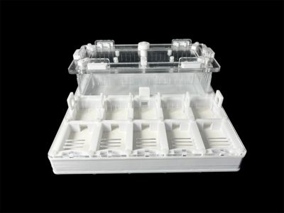 Муравьиная ферма с 5 зонами увлажнения. Герметичная крышка, безопасные материалы