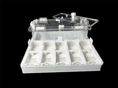 Муравьиная ферма с 5 зонами увлажнения. Герметичная крышка, безопасные материалы