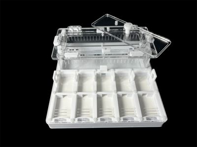 Муравьиная ферма с 5 зонами увлажнения. Герметичная крышка, безопасные материалы