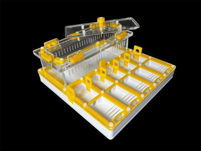 Муравьиная ферма с гипсом для Camponotus. 5 секций, двойная крышка, безопасные материалы