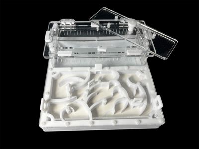 Белая муравьиная ферма 200х200мм: полный гипс, 4 зоны увлажнения. Для Pheidole и Camponotus