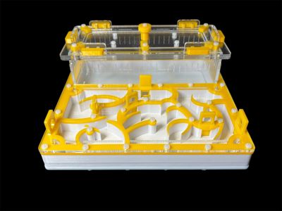 Купить желтый формикарий с гипсом 200х200мм: 4 зоны увлажнения, высота над гипсом 15мм для Pheidole