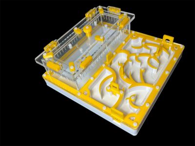 Купить желтый формикарий с гипсом 200х200мм: 4 зоны увлажнения, высота над гипсом 15мм для Pheidole