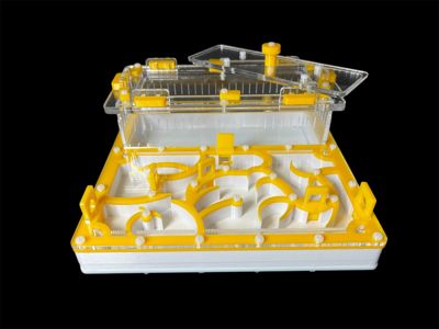 Купить желтый формикарий с гипсом 200х200мм: 4 зоны увлажнения, высота над гипсом 15мм для Pheidole