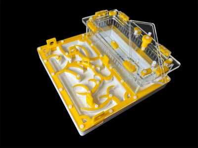 Купить желтый формикарий с гипсом 200х200мм: 4 зоны увлажнения, высота над гипсом 15мм для Pheidole