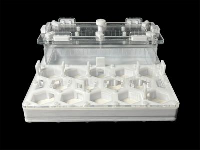 Профессиональный формикарий Соты 20х20см: гипс 6мм, высота 15мм, для влаголюбивых видов муравьев