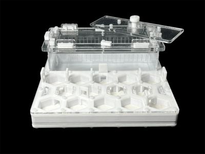 Профессиональный формикарий Соты 20х20см: гипс 6мм, высота 15мм, для влаголюбивых видов муравьев