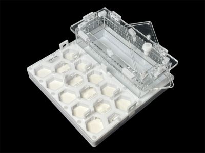 Профессиональный формикарий Соты 20х20см: гипс 6мм, высота 15мм, для влаголюбивых видов муравьев