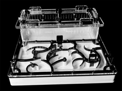 Муравьиная ферма черная с гипсом для Camponotus. Интеллектуальный дизайн, PETG и акрил