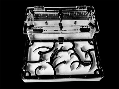 Муравьиная ферма черная с гипсом для Camponotus. Интеллектуальный дизайн, PETG и акрил