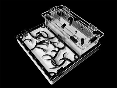 Муравьиная ферма черная с гипсом для Camponotus. Интеллектуальный дизайн, PETG и акрил