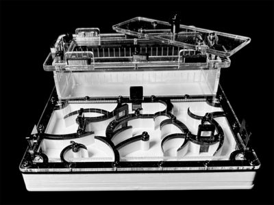 Муравьиная ферма черная с гипсом для Camponotus. Интеллектуальный дизайн, PETG и акрил