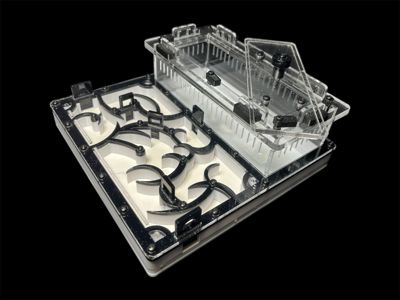 Муравьиная ферма черная с гипсом для Camponotus. Интеллектуальный дизайн, PETG и акрил