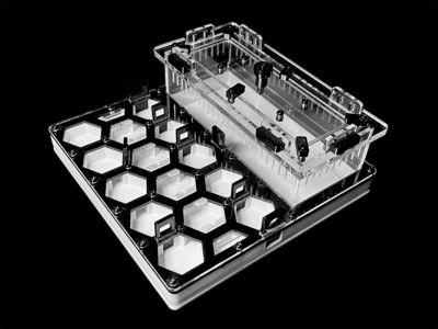 Формикарий «Соты» черный 200х200мм: 5 секций, 2 зоны увлажнения, гипс Г23 для Carebara