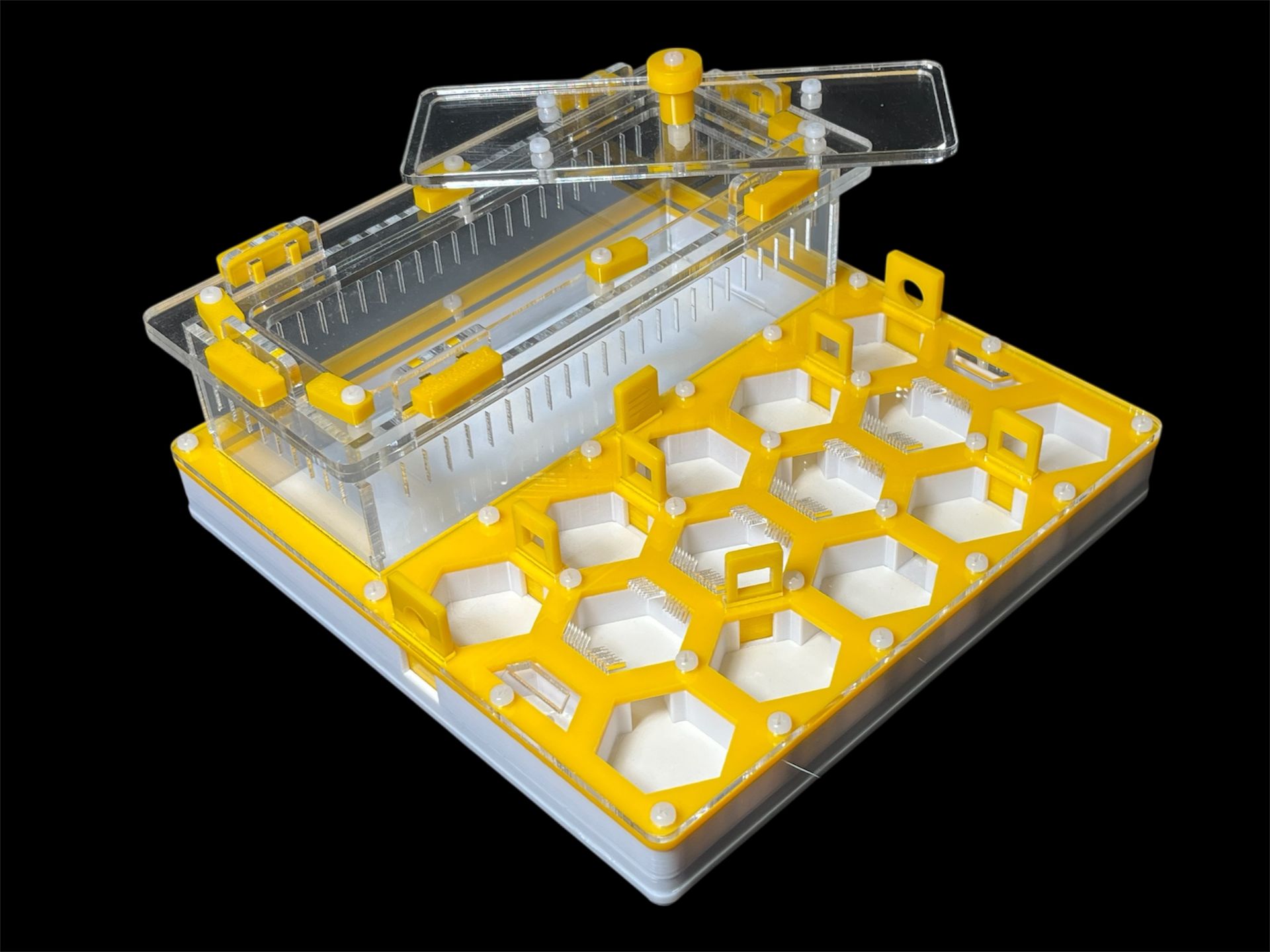 Ферма для мурах жовта Соти 200х200мм з повним гіпсом г23. Захист від втечі, 5 секцій