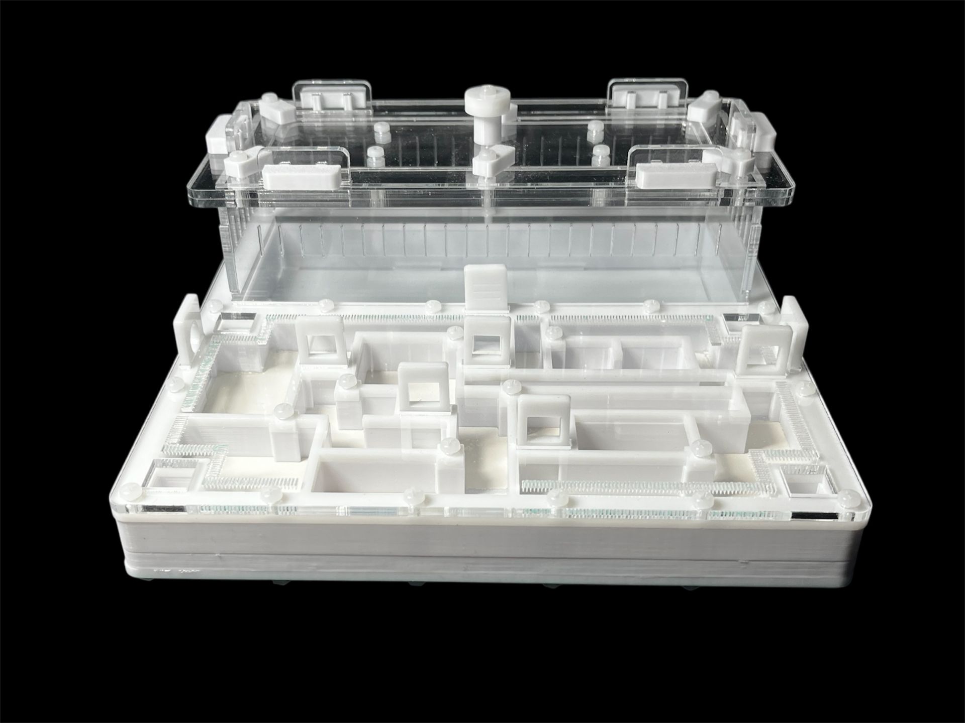 Ферма для мурашок біла «Лабіринт» з гіпсом. 20х20см, 4 зони зволоження, для Odontoponera