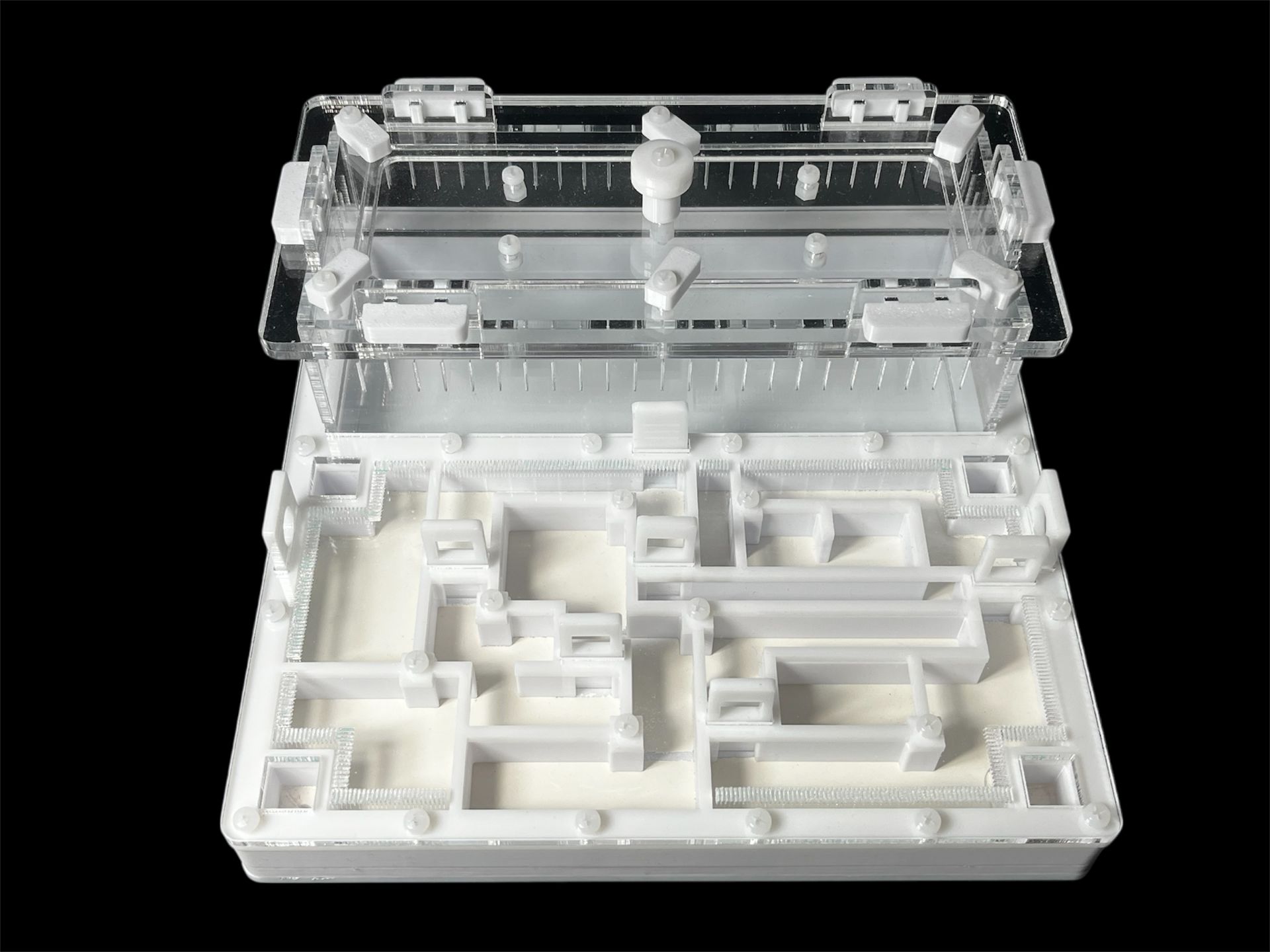 Ферма для мурашок біла «Лабіринт» з гіпсом. 20х20см, 4 зони зволоження, для Odontoponera