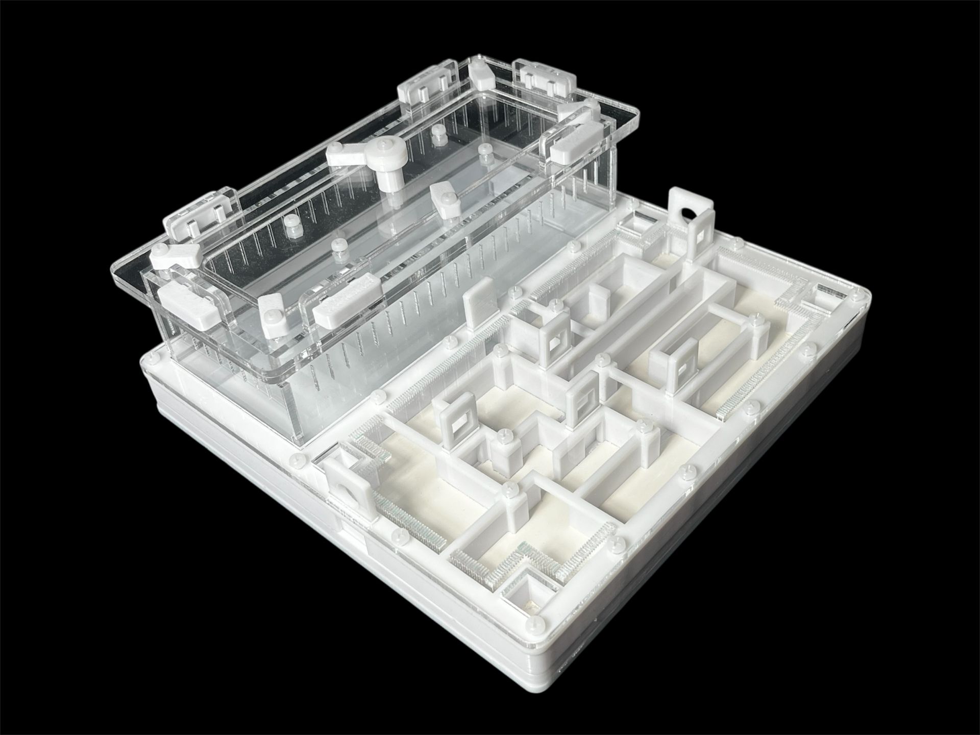 Ферма для мурашок біла «Лабіринт» з гіпсом. 20х20см, 4 зони зволоження, для Odontoponera